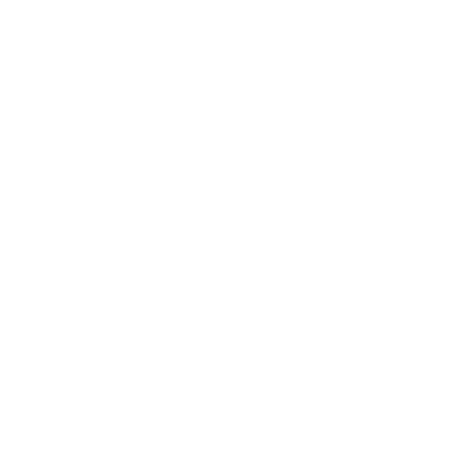 ilmiomaestrodisci.com-Logo